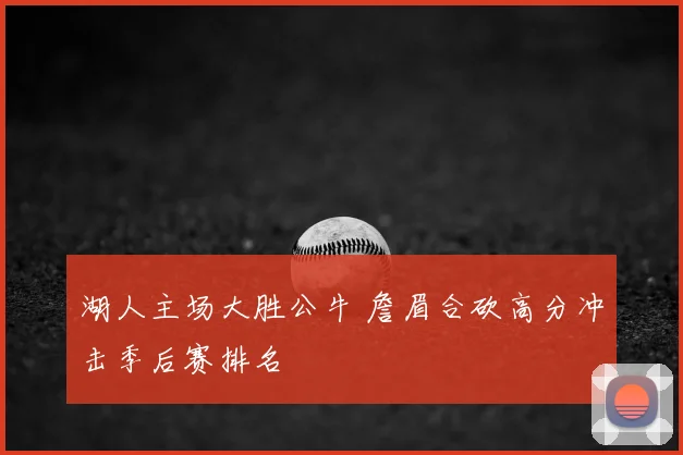 湖人主场大胜公牛 詹眉合砍高分冲击季后赛排名