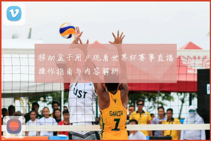 移动盒子用户观看世界杯赛事直播操作指南与内容解析