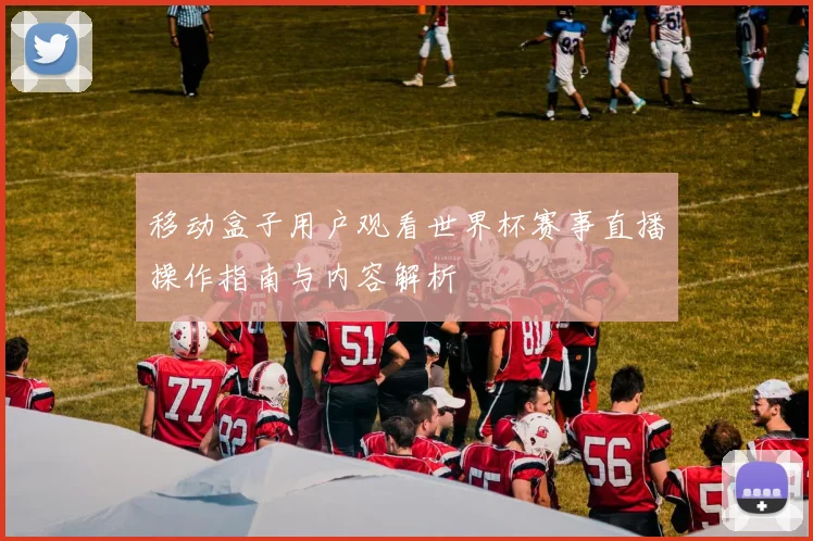 移动盒子用户观看世界杯赛事直播操作指南与内容解析