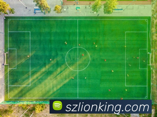 乐竞体育首页APP 高清赛事图